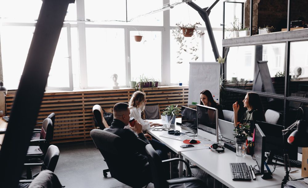personnes dans des bureaux professionnels